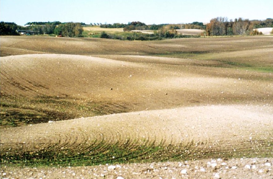 Hummocky Till Landscape